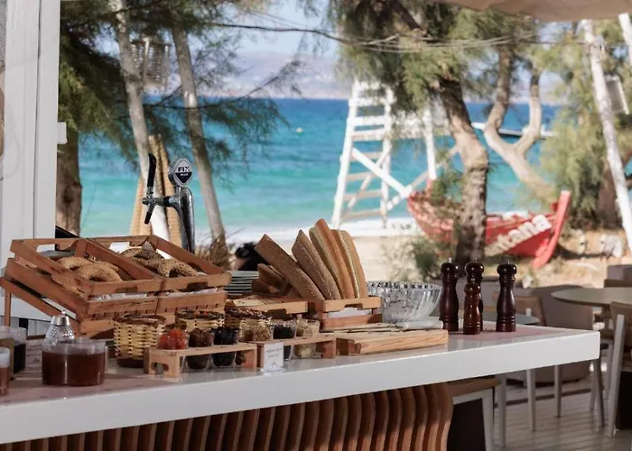 Aparthotel Castello On The Agia Anna (Naxos)